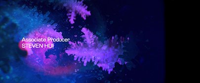 Image-4