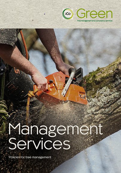 ManagementServices-405x575