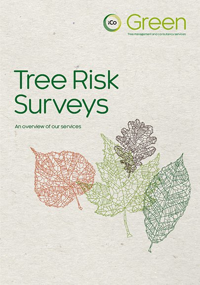 Tree Survey Risks-405