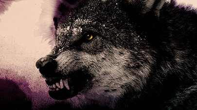 Wolves_Standard_01