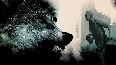 Wolves_Standard_06