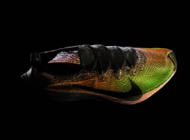 Zoom Vaporfly Flyprint