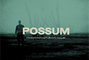 Possum